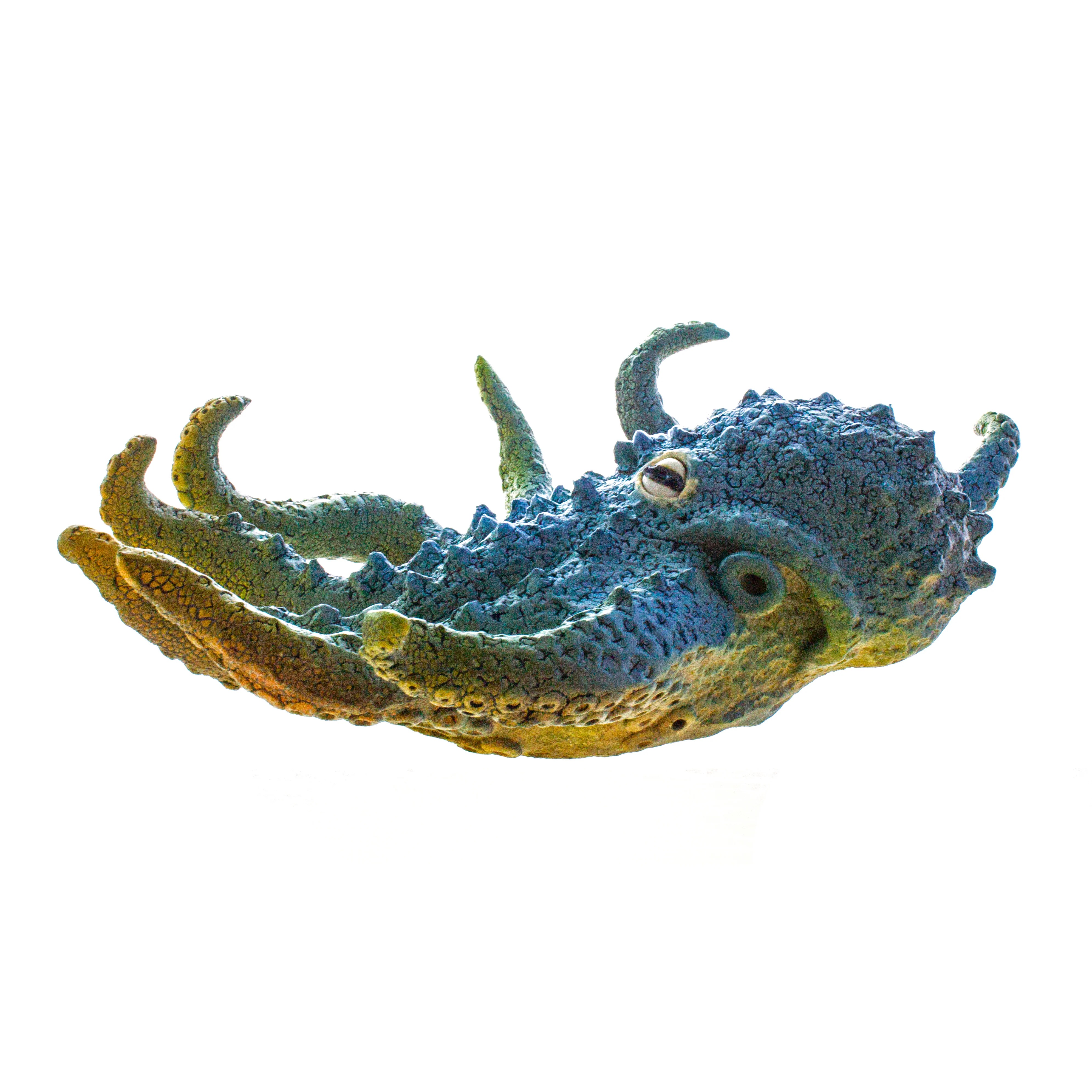 Ceramic Wall Art Octopus - Image 3